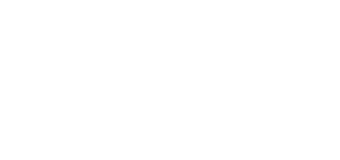 ZWL Logo